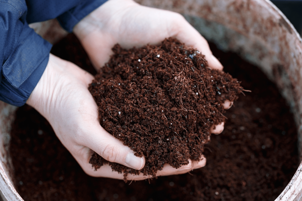 organic-potting-soil